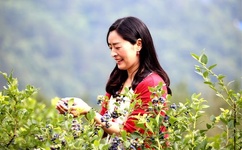 超碰在线caopom免费公开在线